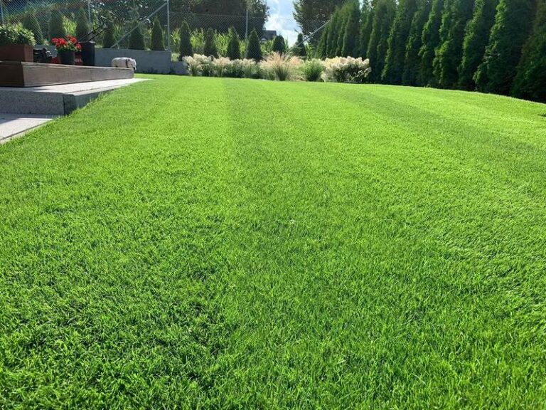 Sekrety idealnego trawnika: jak prawidłowo siać trawę, aby cieszyć się pięknym zielonym dywanem