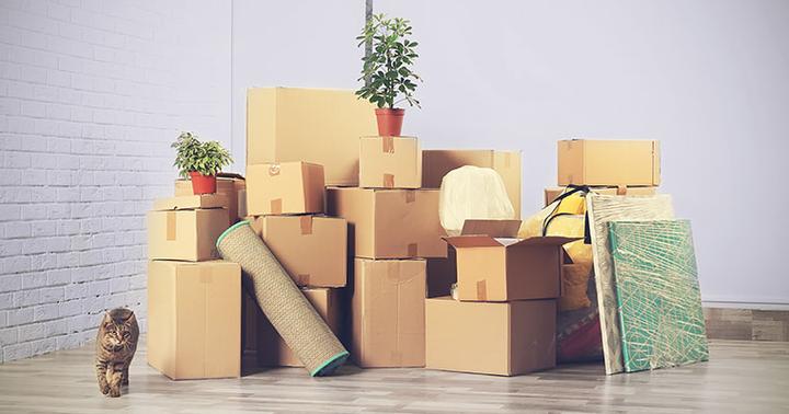 Przeprowadzka bez stresu