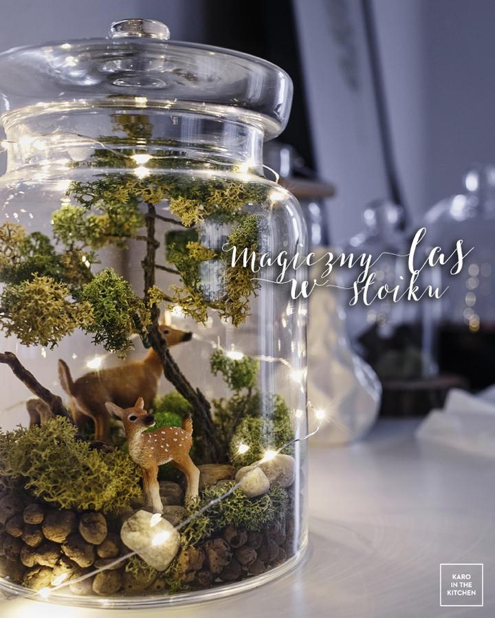 Kreatywny ekosystem w słoiku