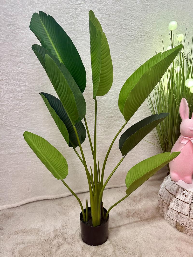 Uprawa bananowca w domu