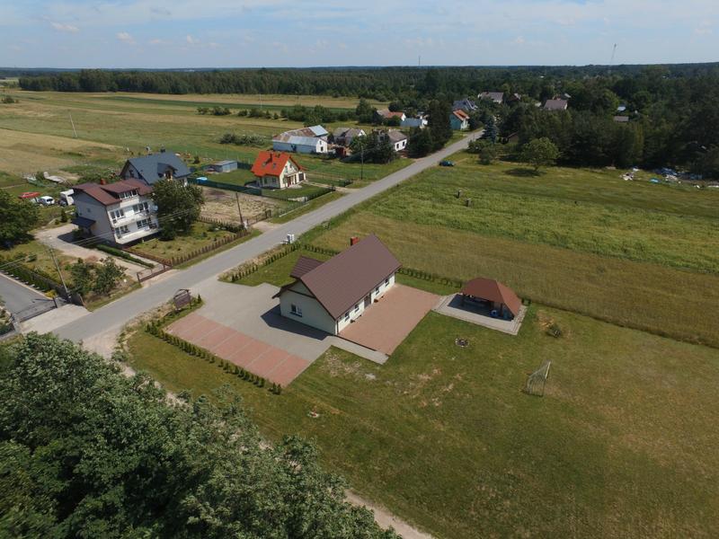 Błędy w uprawie paproci