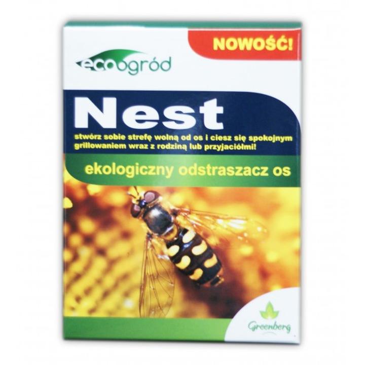 Skuteczne sposoby na odstraszanie os i szerszeni – jak pozbyć się ich raz na zawsze?