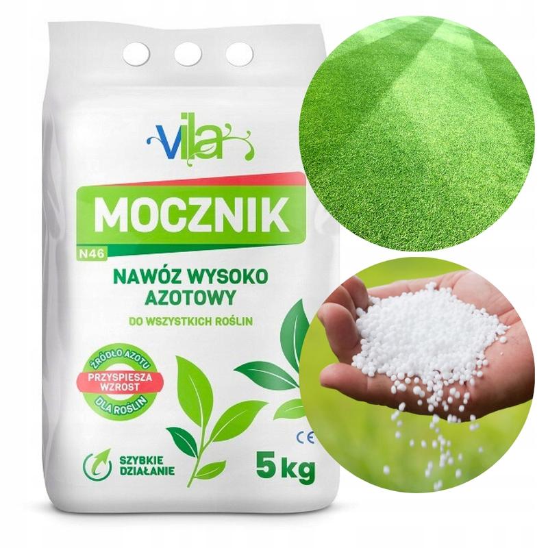 Optymalne terminy oprysków śliw