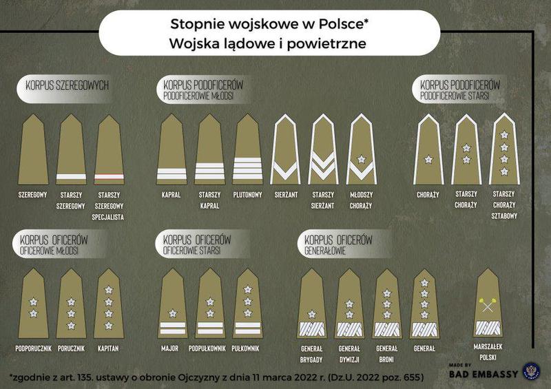 Co wybrać na początek: stopnie czy podstopnie?