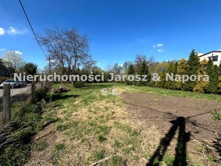 Jak poradzić sobie z cieniowaniem działki przez drzewa i żywopłoty sąsiada?