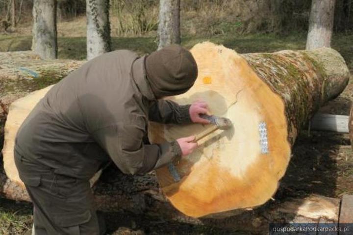 Jednostki miary drewna