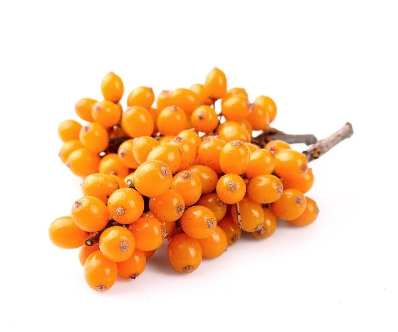 Ognik pielęgnacja i estetyka w ogrodzie