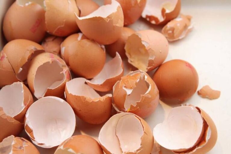 Jak wykorzystać skorupki jajek do kwiatów – oryginalne pomysły na ekologiczne nawożenie