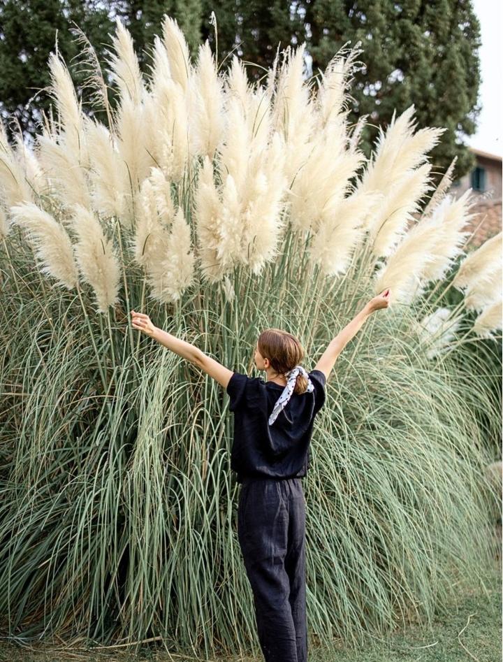 Aranżacje ogrodowe z trawą pampasową