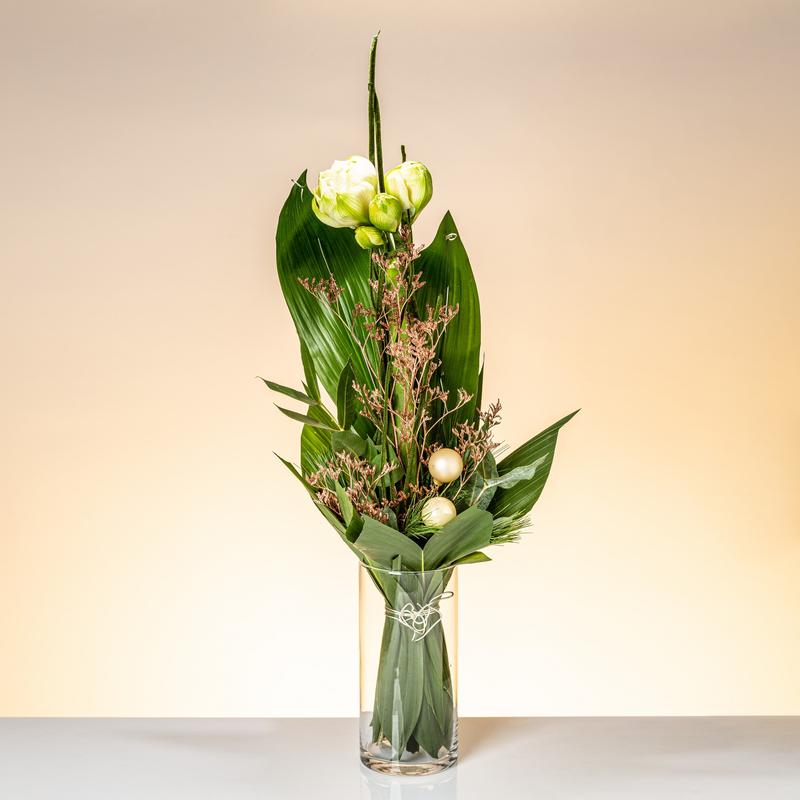 Nawożenie i nawadnianie amarylisów