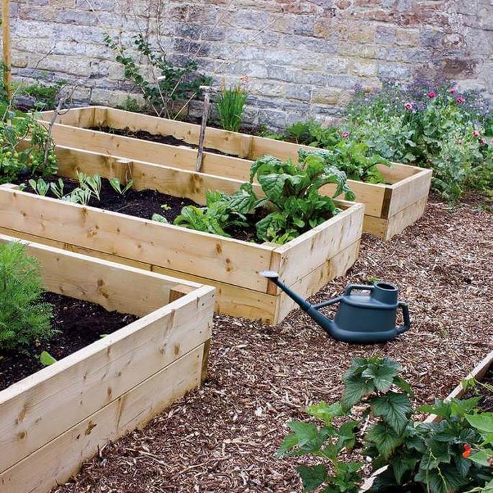 Wybór miejsca na warzywnik