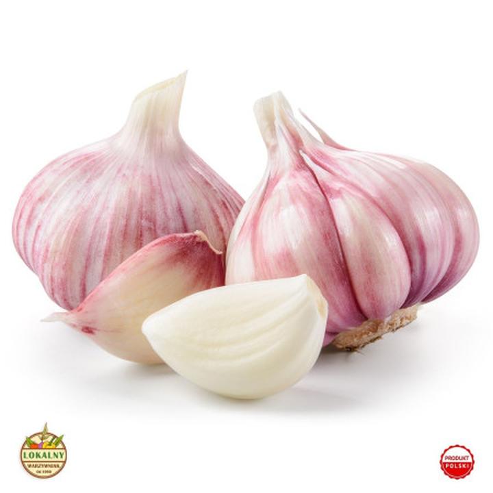 Zbiór czosnku zimowego i wiosennego