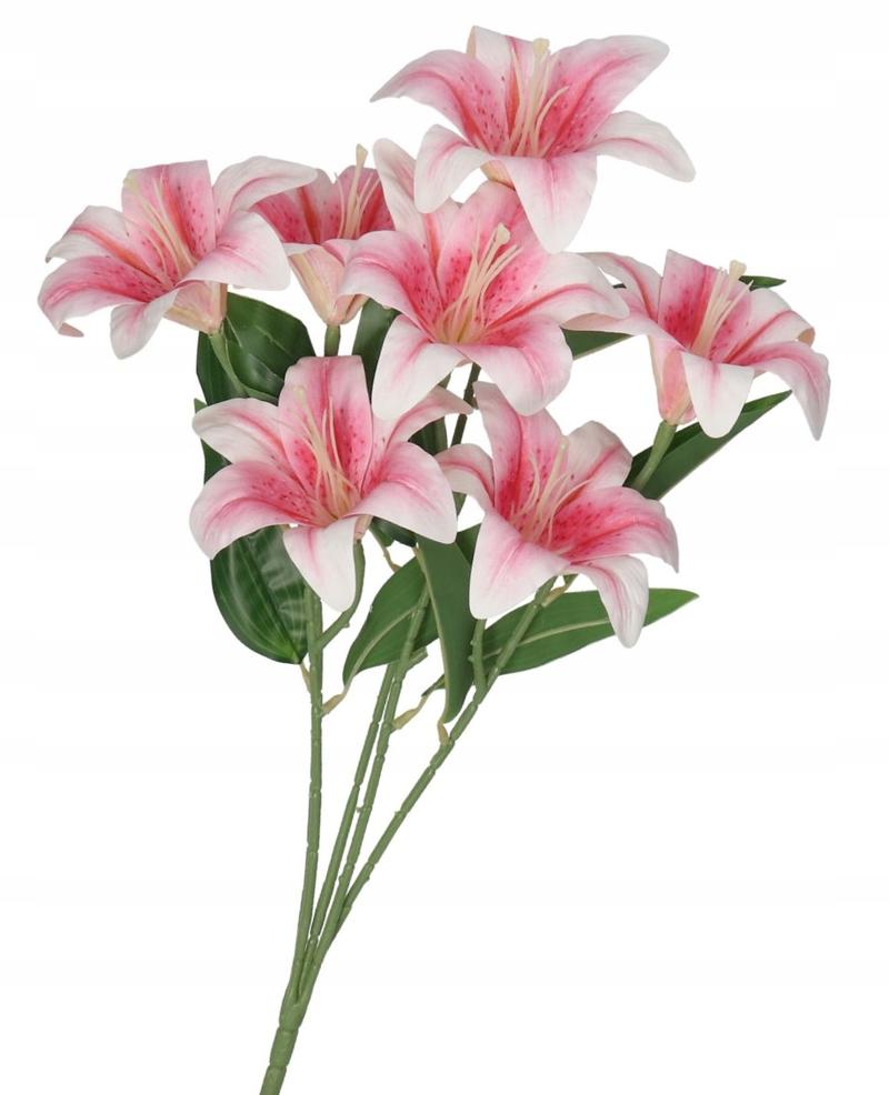 Zimowanie lilii w gruncie